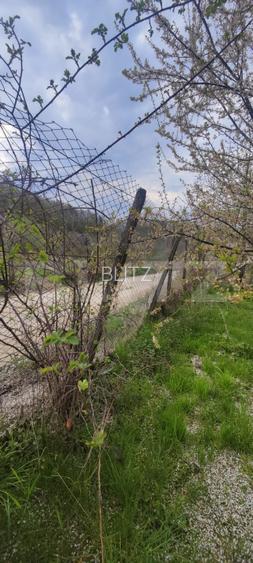 Teren Construibil 2900 mp cu 2 deschideri la asfalt – livadă matură, DN 72A - 17