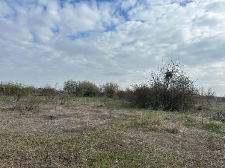 Teren 918 mp Corbeanca Tamasi | Intravilan POT 27% | P+2E+M | Ideal investitie