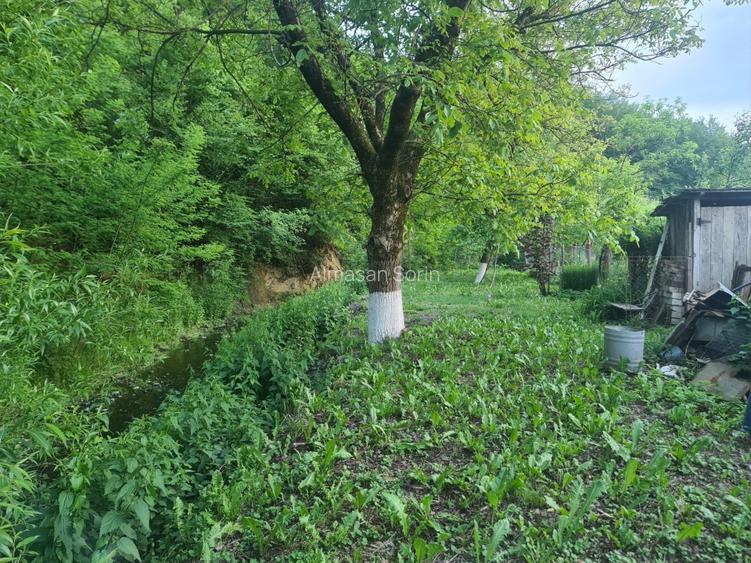 Vand  casa cu gradina - 9