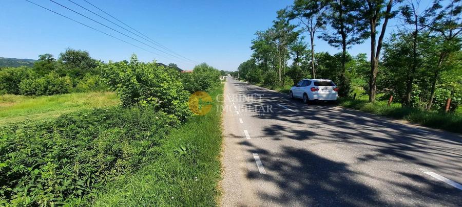 🏡Teren intravilan 900 mp - Voinesti,la strada principală 🏡