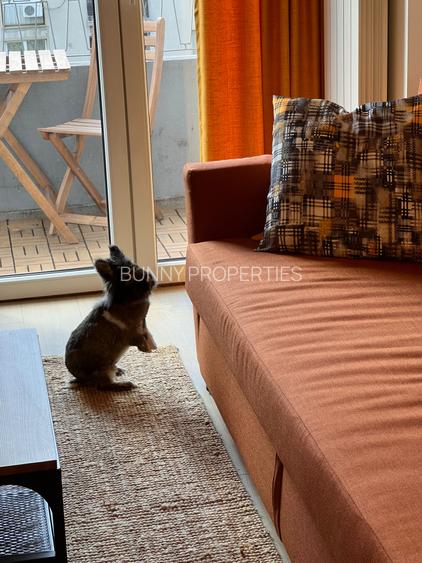AR5343 - VÂNZARE AIRBNB BUSINESS • DIRECT PROPRIETAR • 0% COMISION - 23