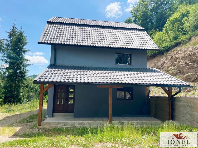 Casa de vanzare in Apuseni - Horea cu 16 000 mp teren