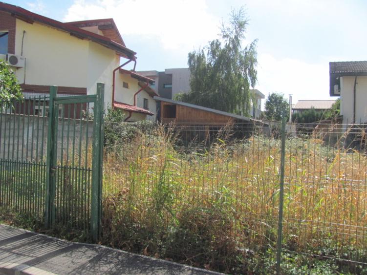 Bragadiru - Zona Haliu, Stradal