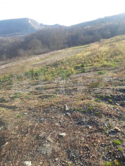 Teren intravilan de vanzare, cu proiect pentru casa - 4