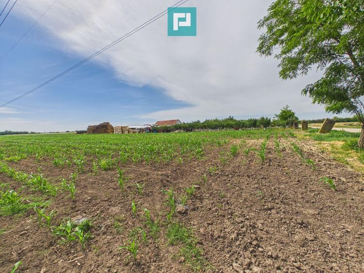 Teren extravilan în suprafață de 10.000 mp, Arad