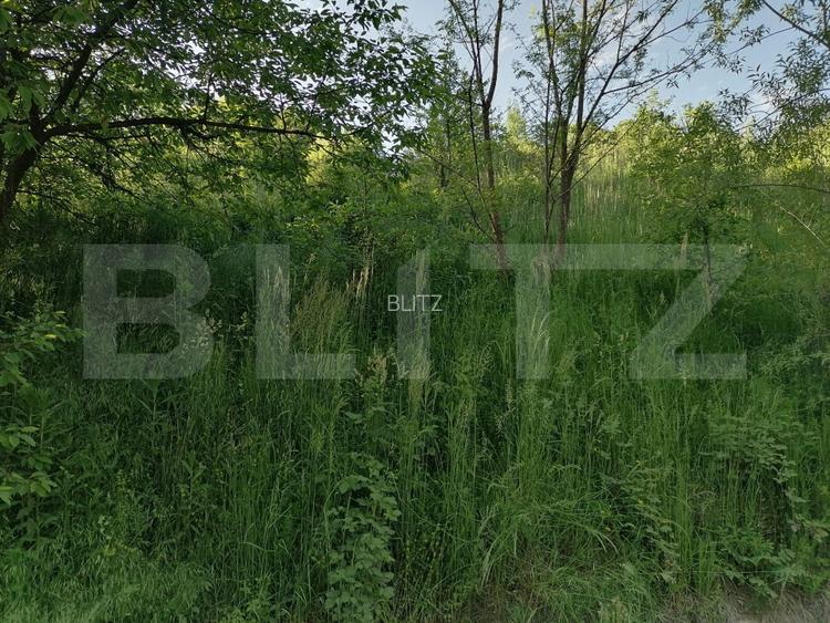Vand teren intravilan (7322mp) + extravilan (7078mp) - 6