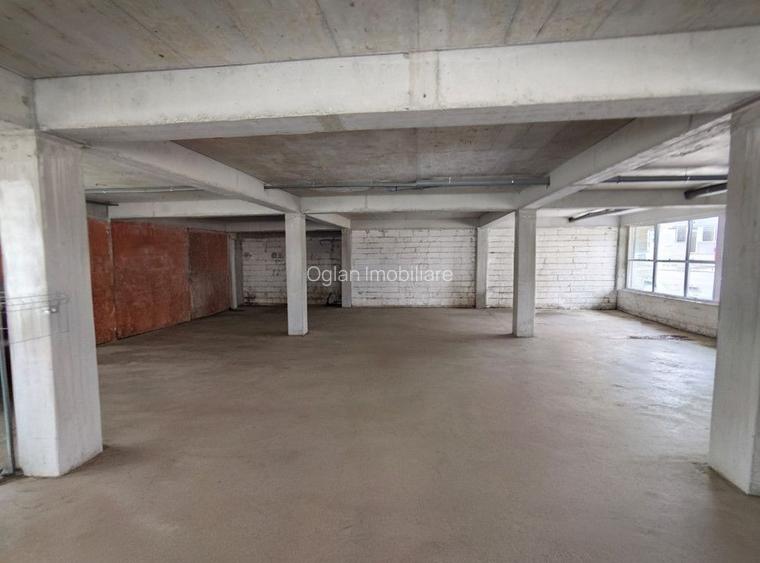 Spatiu Comercial 305 mp+ gradina 178mp, Bieltz/Turnisor - 2