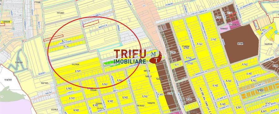 Teren Intravilan construibil de 2740 mp în Micești, Alba Iulia - 7