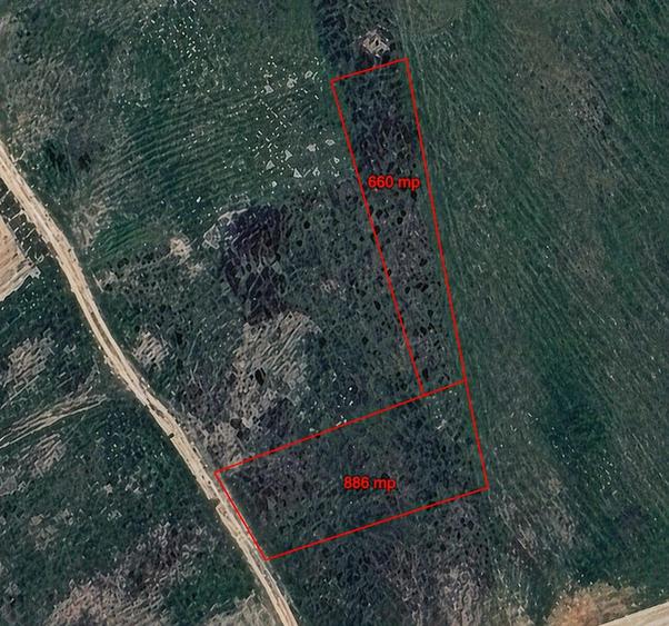 Teren intravilan de vanzare in Sanmartin, zona Beverly Hills, langa padure
