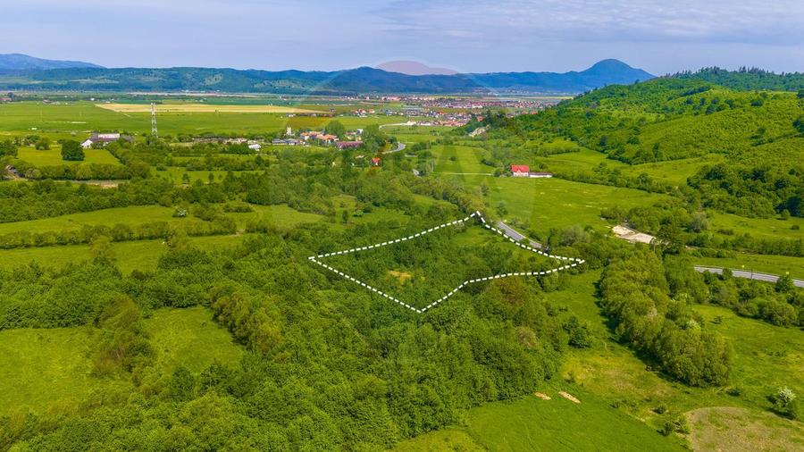 Teren 1ha Valea Glăjeriei - Rasnov | Comision 0%