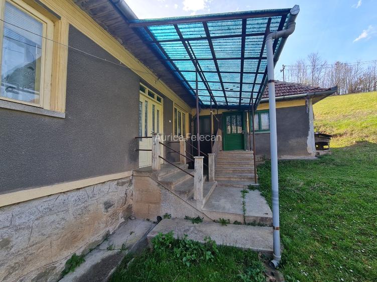 Proprietar vand casa+ teren 13000mp, Steia, Tomesti, jud. Hunedoara, 20km de Bra - 13