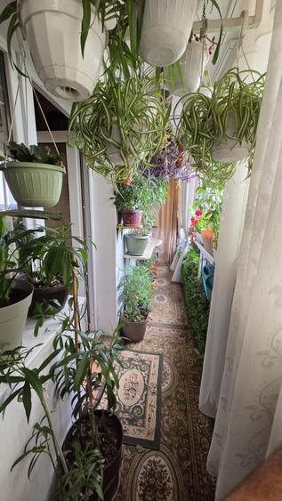 3 Camere et.10 An constructie 1985 Zona Ghencea