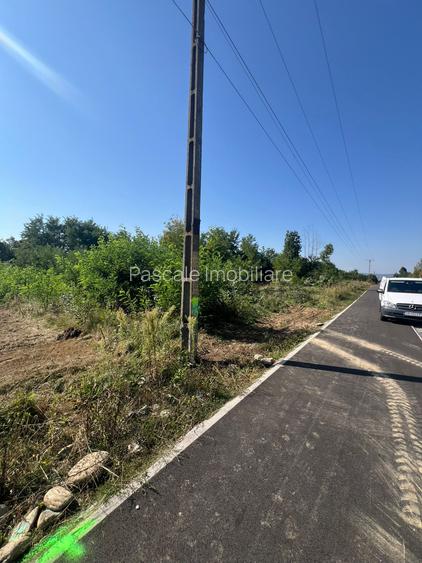 Teren intravilan de vânzare – Valea Avrigului | deschidere la șosea asfaltată - 3