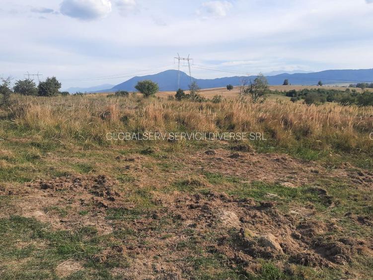 FARA COMISIOANE TEREN parcelabil 10756mp linga padure Comuna Dumbravita Brasov - 9