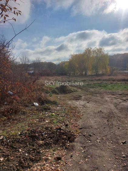 PARADISUL VERDE, CORBEANCA | TEREN EXCLUSIVIST PE MALUL LACULUI - 3