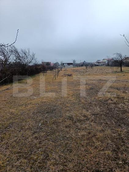 Teren Intravilan Blejoi , OPORTUNITATE ! 2800MP