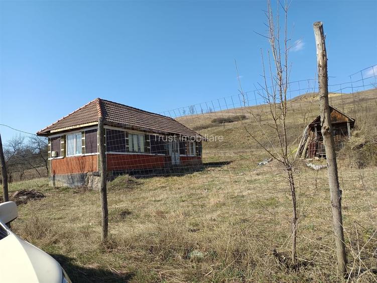 Casa individuala l Teren 2698 MP l Hagau