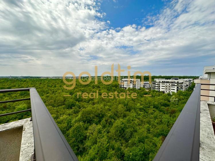 Penthouse spectaculos 280mp/Terasă 370mp/Vedere Pădurea Băneasa/Iancu Nicolae