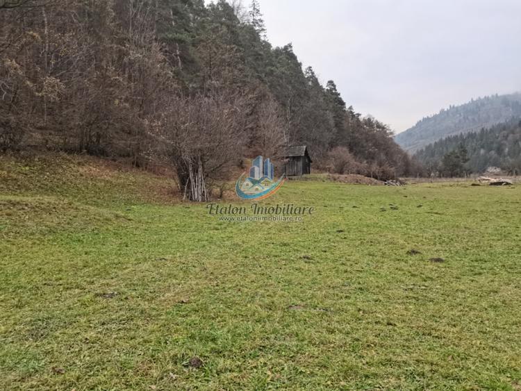 Teren Straja – Pangarati 3560 m, zona de Pensiune