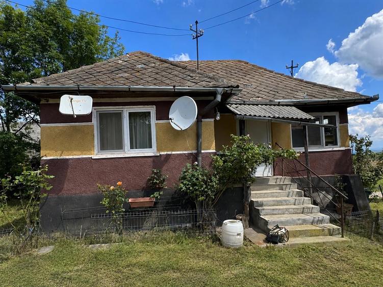 Casa de vanzare l Dangau Mare l 3135 MP Teren