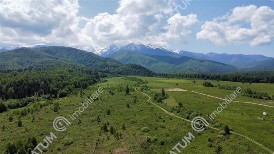 Teren extravilan 8400 mp de vanzare pe Valea Avrigului
