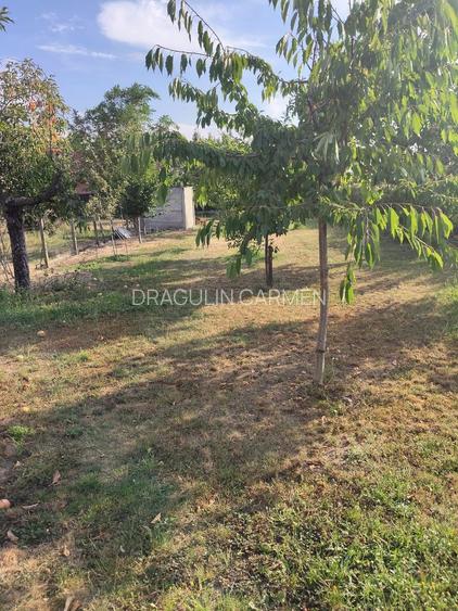 Casa cocheta cu livada si teren 1.200 mp-aproape de Pitesti - 29