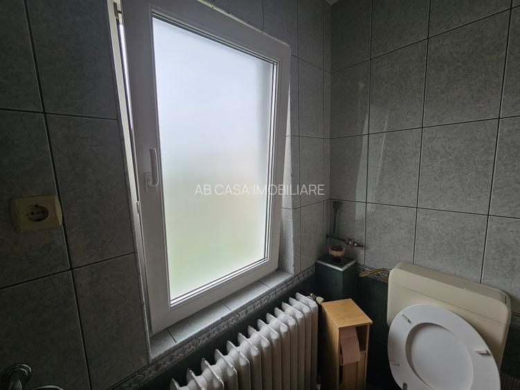 Închiriere casă P+E, 3 camere, 2 băi, curte, C. Șagului - Brâncoveanu - 11