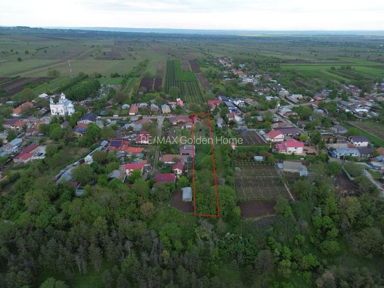 Casă cu teren Tifesti / Sarbi - 14