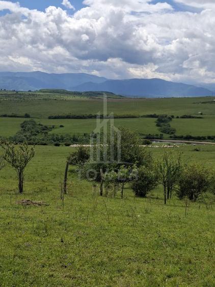 De vanzare, teren 11.500 mp – Dealul Dăii, Vedere panoramică spre munți și lac