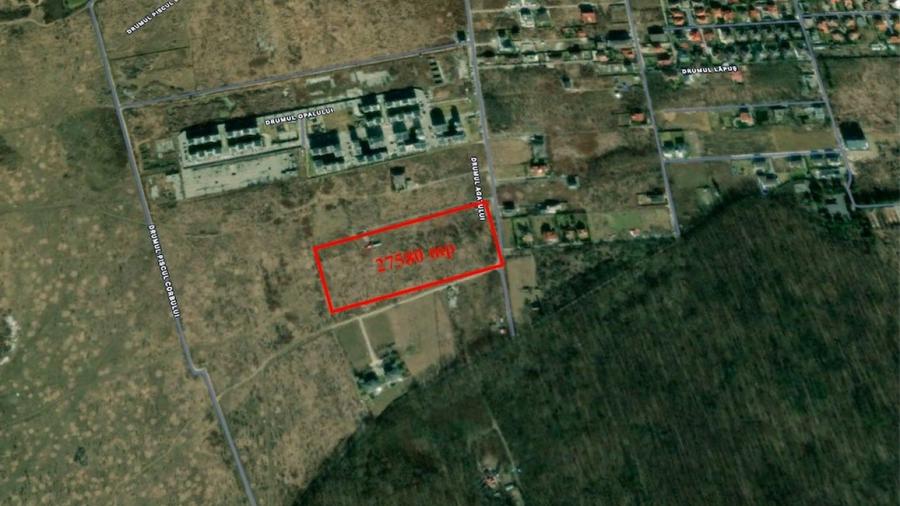 REL4001044 Investitie - teren 27580 mp langa Padurea Baneasa