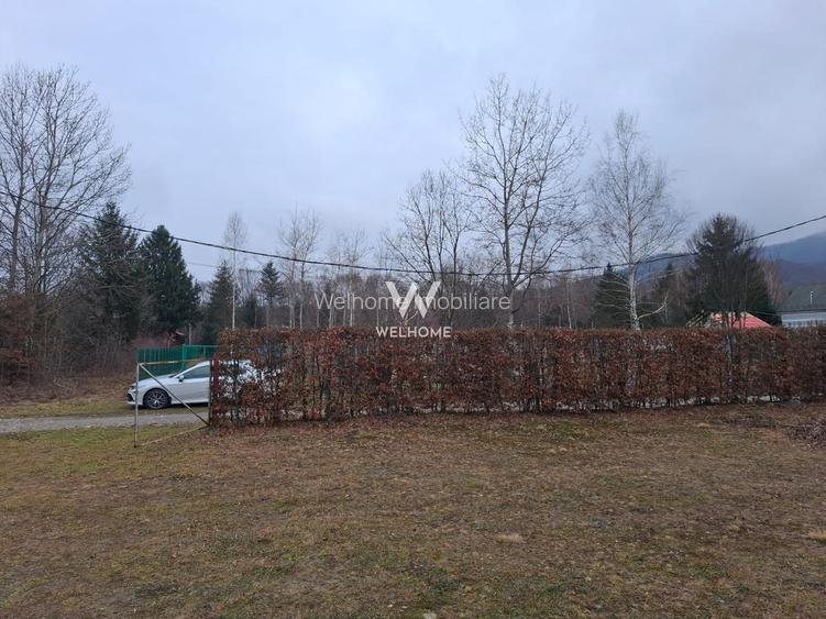 Teren intravilan, livada, langa padure,  pe Valea Avrigului - Sibiu - 9
