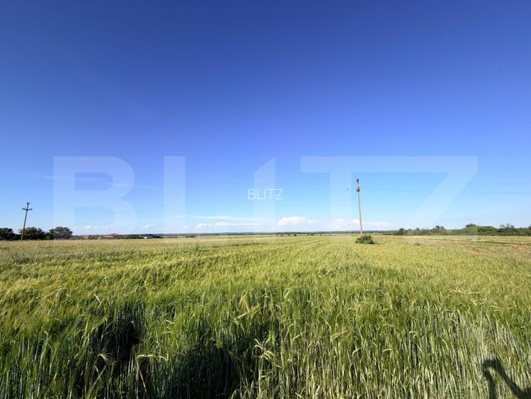 Teren parțial intravilan de vânzare – 9.550 mp, Comuna Podari, Sat Gura Văii - 3