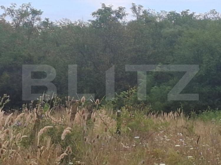 Padure de vanzare, 0,75 hectare, zona Suta Seaca