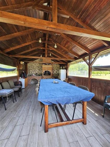 PROPRIETATE EXCEPTIONALA ,TEREN 33.161 MP + RESIDENTA P+1+M - 34