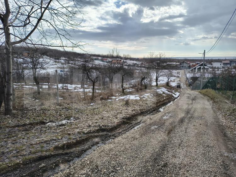 TEREN, 10000 mp, Paulesti (Gegeni) - 8