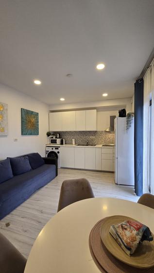 De inchiriat apartament 2 camere - Parcul Carol