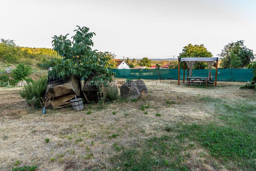 🇮🇹 Vilă în stil italian lângă Arad | Vilă cu 12.000 mp - 7
