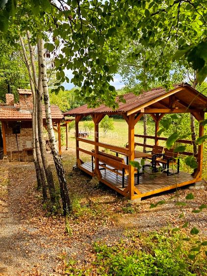 Poiană privată, pădure și cabană | Proprietate cu potențial turistic - 3