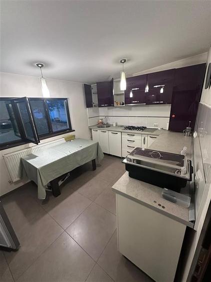 Casa/Spatiu Comercial Palas Mall