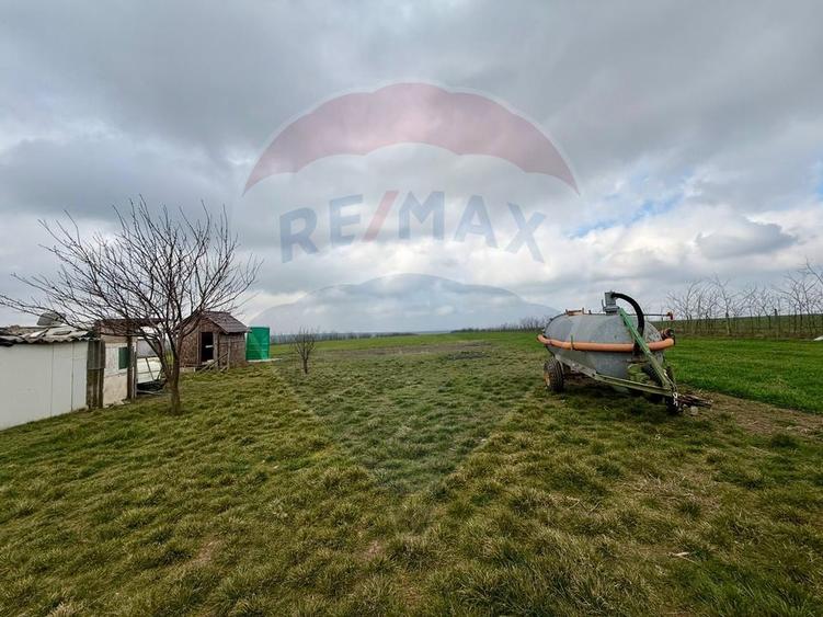 Teren de vanzare in Săcele ideal pentru silozuri, fermă 6 ha