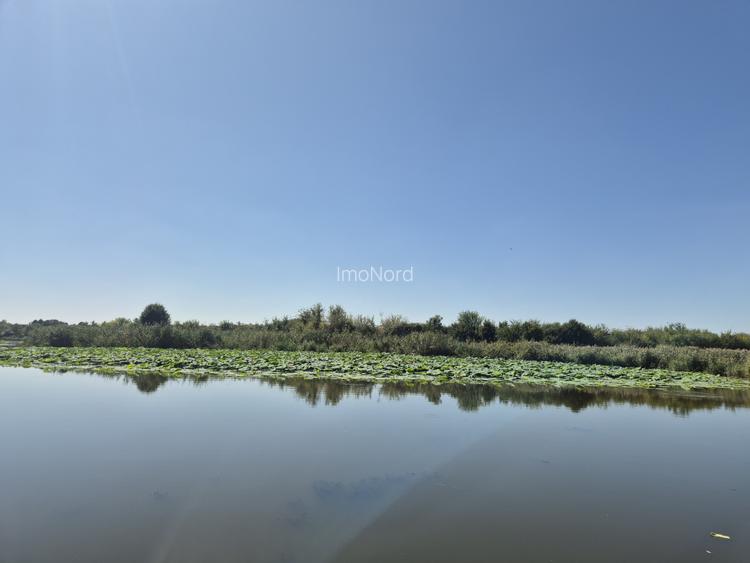 Izvorani - Teren cu deschidere la lac - 9