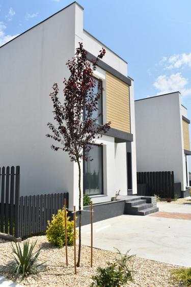 Vilă 4 camere de vânzare | Direct Dezvoltator | Pret 224.000+TVA | Tunari