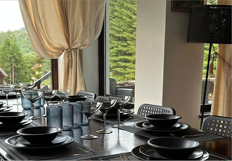 Vila de lux Brasov-Zarnesti-Piatra Craiului-Plaiul Foii, 2 HA, Gym sauna jacuzzi