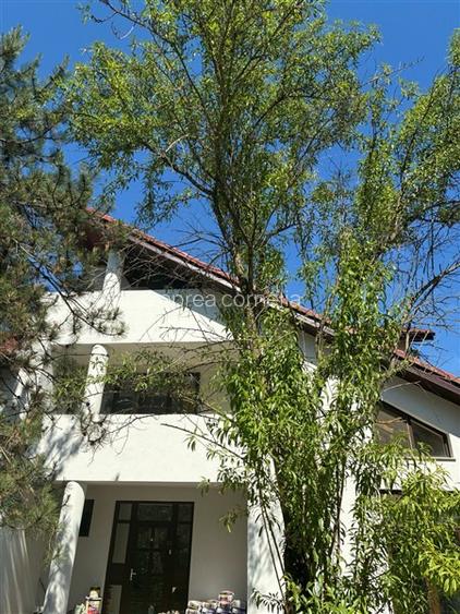 Vila Pipera 785 mp,  in curs de totala renovare, 6 dormitoare, 6 bai, S+P+E+M - 3