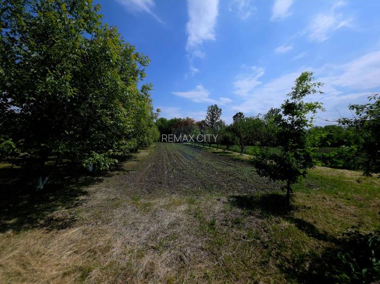 Teren intravilan 4,516mp Doina - 15