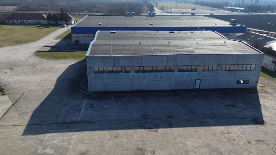 Hală Industrială de vanzare 6500 mp în Madaras la 30 km de Oradea, Bihor