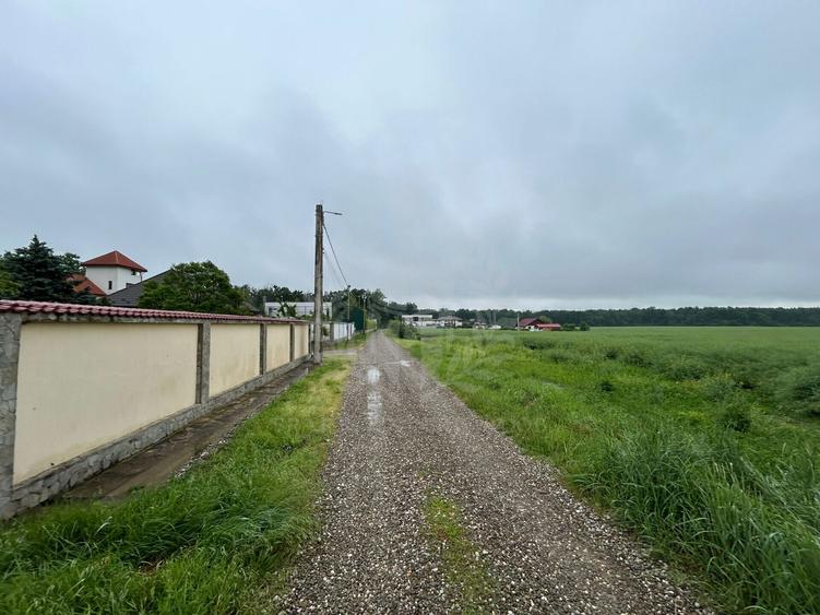 TEREN INTRAVILAN //COMUNA PAULESTI