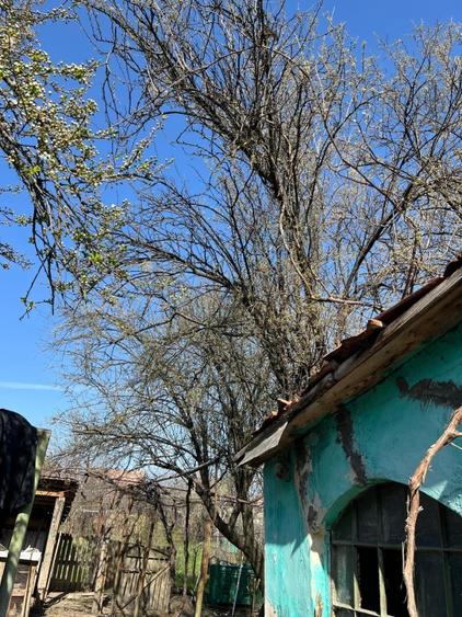 Proprietar, vând teren intravilan 997 mp, MEHALA, str. MOISE DOBOȘAN, preț NEGOC