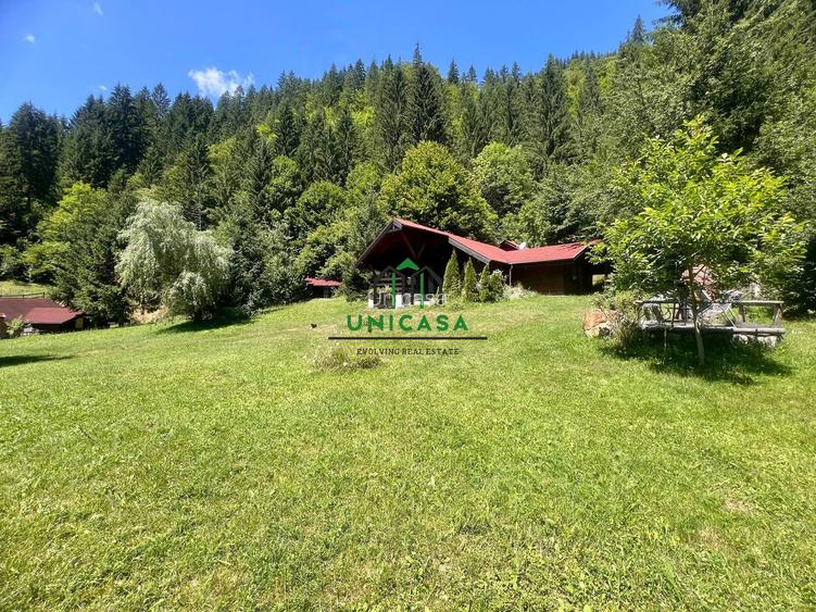 Proprietate deosebita de vanzare – Voinesița, Comuna Voineasa - 7