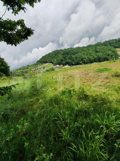 Teren extravilan de vânzare, 1.100 mp - zona Dealul Jelnei - 2